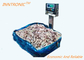 600KG Stainless Steel Industrial Platform Weighing Scales with indicator for sea food AC 220V 50Hz
